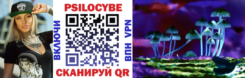 Псилоцибиновые грибы Psilocybe  закладки  MEGA ТОР  Таганрог 